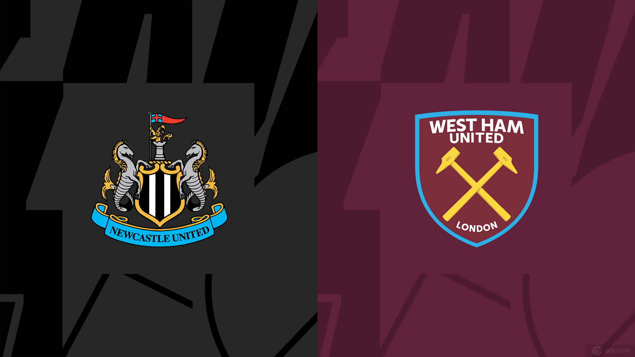 引了球迷 引了球迷